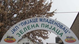 bolnički monitor