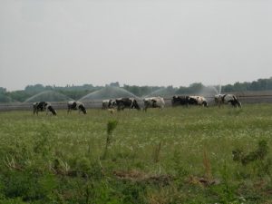 Medicinska oprema beograd