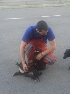 Radost kada Aca ide na ručak